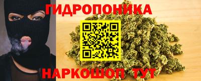 сатива Коммунар