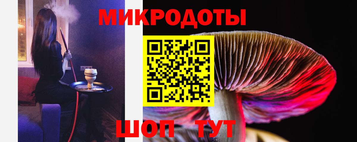 Псилоцибиновые грибы Cubensis Ишим